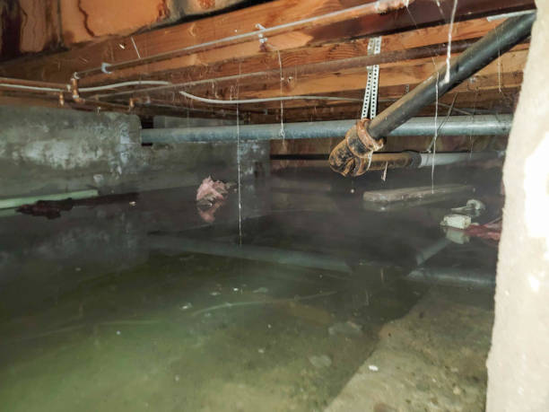 Best 24-hour water damage restoration  in White Oak, TX