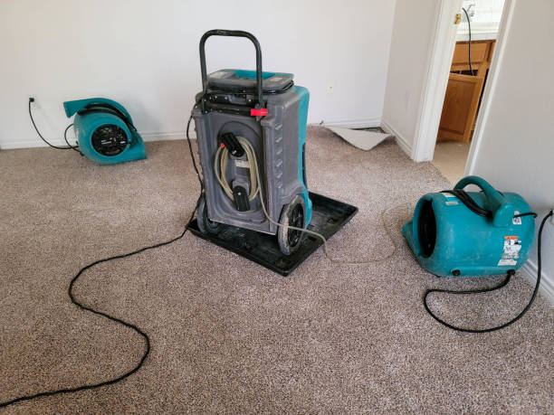 Best 24/7 water damage repair  in White Oak, TX