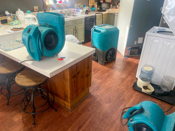 Best Water damage restoration near me  in White Oak, TX
