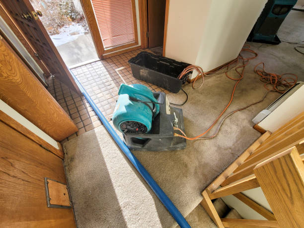 Best Water damage restoration specialists  in White Oak, TX