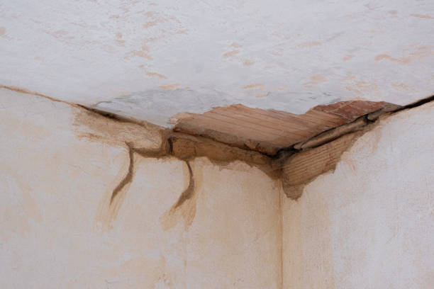 Best Fire Damage Restoration  in White Oak, TX