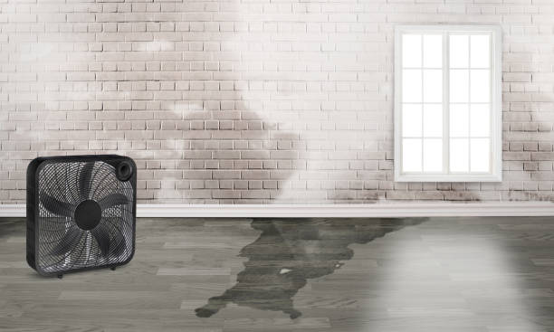 Best Fire Damage Restoration  in White Oak, TX