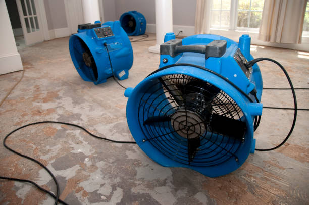 Best Flood damage cleanup  in White Oak, TX