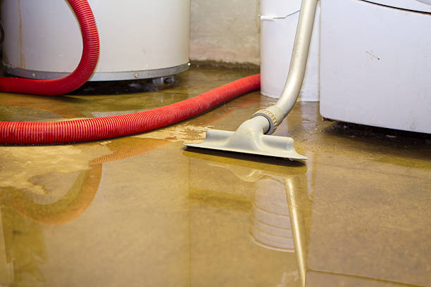 Best 24-hour water damage restoration  in White Oak, TX
