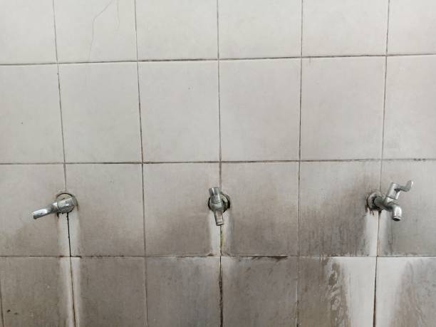 Best Water damage cleanup near me  in White Oak, TX